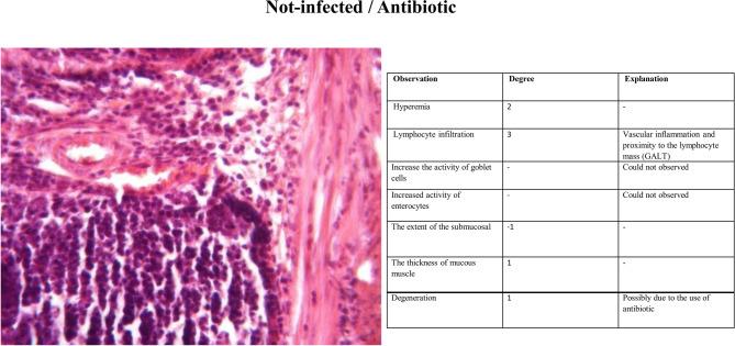 https://cdn.ncbi.nlm.nih.gov/pmc/blobs/7eba/12394428/db6ae80673ad/41598_2025_16334_Fig6_HTML.jpg