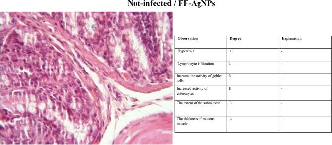 https://cdn.ncbi.nlm.nih.gov/pmc/blobs/7eba/12394428/f2cb07dcfd59/41598_2025_16334_Fig4_HTML.jpg