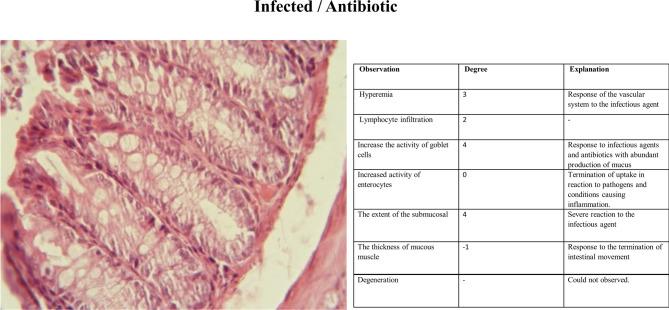 https://cdn.ncbi.nlm.nih.gov/pmc/blobs/7eba/12394428/fd4b5ea2237f/41598_2025_16334_Fig9_HTML.jpg
