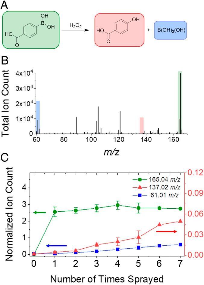 https://cdn.ncbi.nlm.nih.gov/pmc/blobs/7eba/6765303/48bee94d85b8/pnas.1911883116fig03.jpg