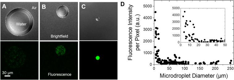 https://cdn.ncbi.nlm.nih.gov/pmc/blobs/7eba/6765303/b09b72a1e9a8/pnas.1911883116fig02.jpg