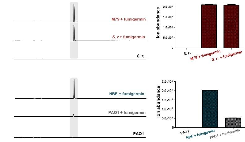 https://cdn.ncbi.nlm.nih.gov/pmc/blobs/7eba/7034978/52af59b73a1e/elife-52541-fig3-figsupp3.jpg