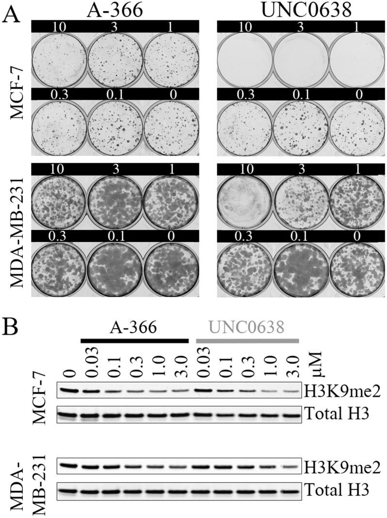 https://cdn.ncbi.nlm.nih.gov/pmc/blobs/7ebb/4492996/db647913075b/pone.0131716.g002.jpg