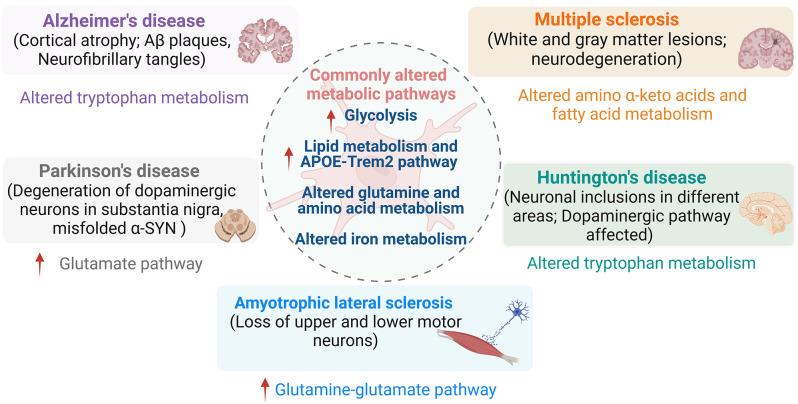 https://cdn.ncbi.nlm.nih.gov/pmc/blobs/7ebd/11571669/aa7153300007/12974_2024_3296_Fig1_HTML.jpg