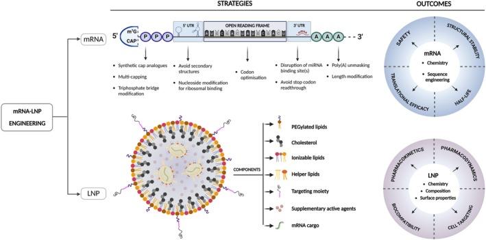 https://cdn.ncbi.nlm.nih.gov/pmc/blobs/7ebd/12361847/3761d938844d/JIMD-48-0-g001.jpg