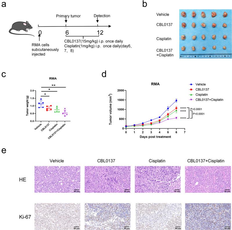 https://cdn.ncbi.nlm.nih.gov/pmc/blobs/7ebe/12118381/b962aa3aa365/KCBT_A_2511301_F0005_OC.jpg