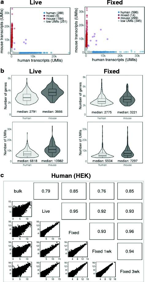 https://cdn.ncbi.nlm.nih.gov/pmc/blobs/7ebf/5438562/b9238f9efc57/12915_2017_383_Fig2_HTML.jpg