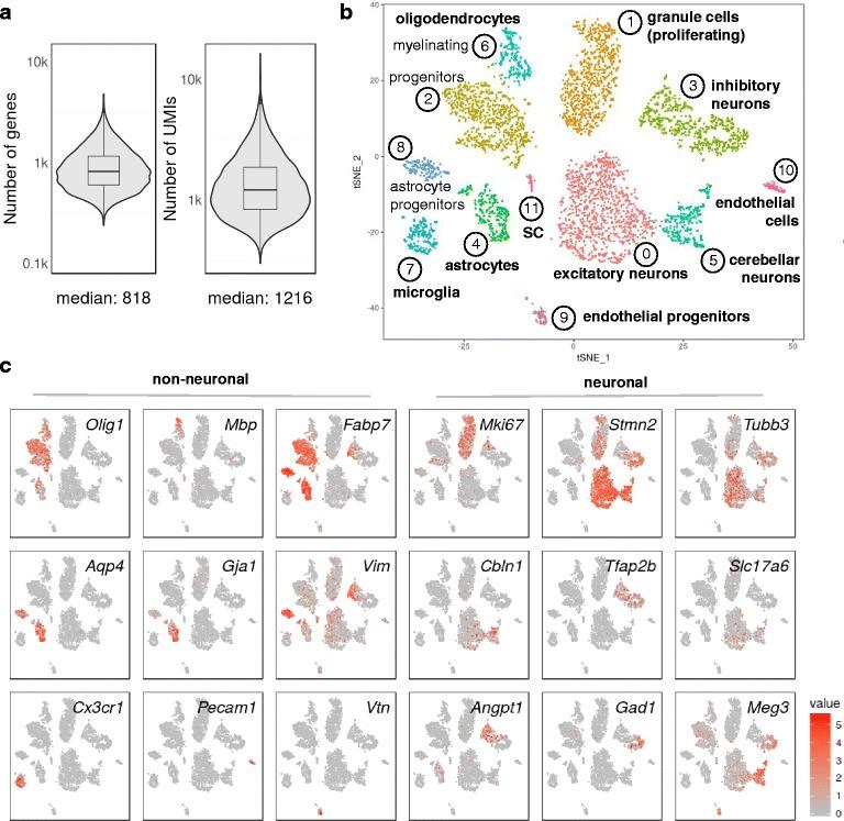 https://cdn.ncbi.nlm.nih.gov/pmc/blobs/7ebf/5438562/bcebefa1a68e/12915_2017_383_Fig4_HTML.jpg