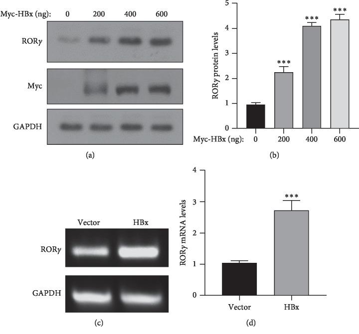 https://cdn.ncbi.nlm.nih.gov/pmc/blobs/7ebf/6874968/1a409c682342/BMRI2019-5407126.004.jpg