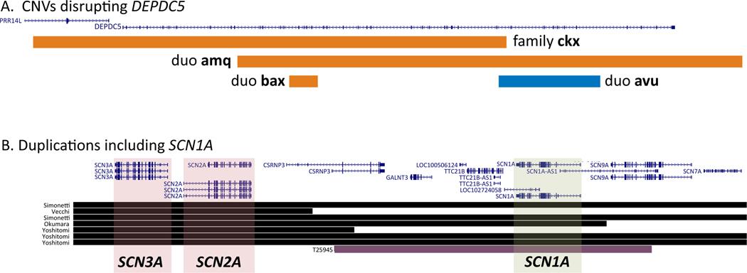 https://cdn.ncbi.nlm.nih.gov/pmc/blobs/7ec0/10948303/bd49ebef3e0e/nihms-1951868-f0001.jpg