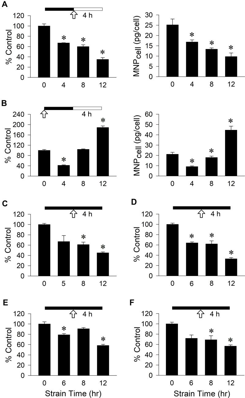 https://cdn.ncbi.nlm.nih.gov/pmc/blobs/7ec0/8909538/11b17f34e147/IJN-17-969-g0002.jpg