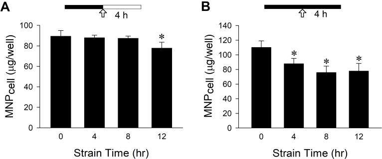 https://cdn.ncbi.nlm.nih.gov/pmc/blobs/7ec0/8909538/3980fcddc034/IJN-17-969-g0007.jpg