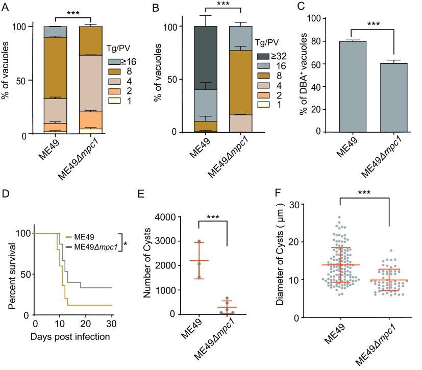 https://cdn.ncbi.nlm.nih.gov/pmc/blobs/7ec1/10100952/076d0ae7263b/spectrum.05043-22-f007.jpg