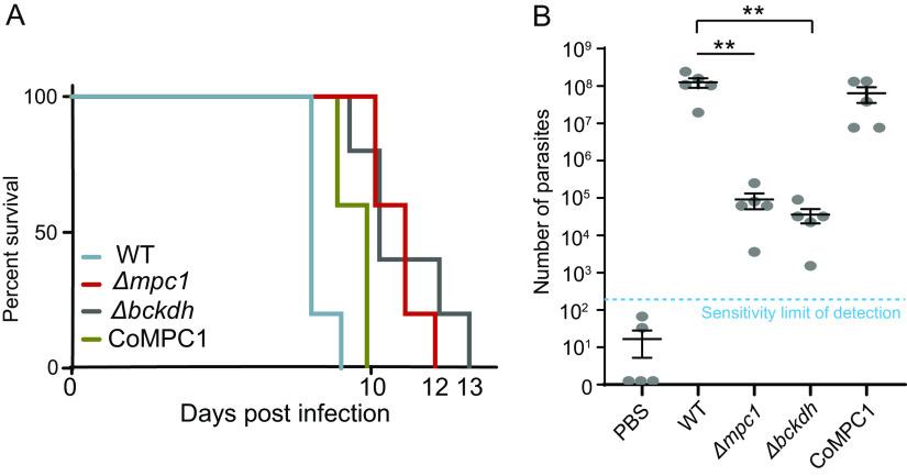 https://cdn.ncbi.nlm.nih.gov/pmc/blobs/7ec1/10100952/991d75cdcaa9/spectrum.05043-22-f006.jpg