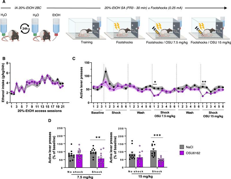 https://cdn.ncbi.nlm.nih.gov/pmc/blobs/7ec1/9812783/12b284da3245/41380_2022_1848_Fig5_HTML.jpg