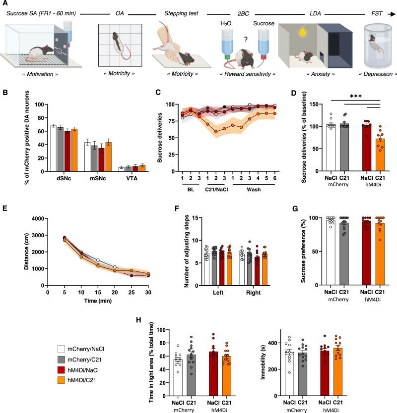 https://cdn.ncbi.nlm.nih.gov/pmc/blobs/7ec1/9812783/2a255a690bc8/41380_2022_1848_Fig4_HTML.jpg