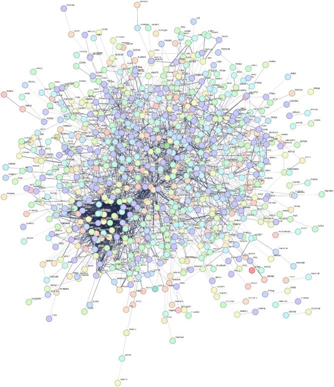 https://cdn.ncbi.nlm.nih.gov/pmc/blobs/7ec3/11379961/51996f91bdb2/41598_2024_69721_Fig8_HTML.jpg