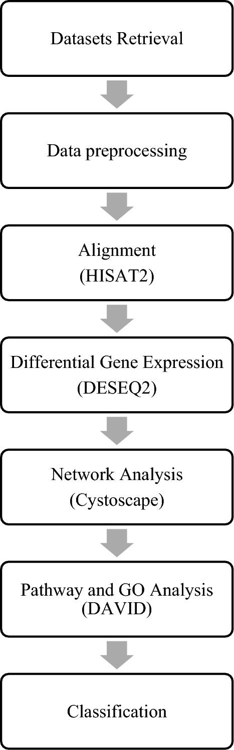 https://cdn.ncbi.nlm.nih.gov/pmc/blobs/7ec3/11379961/83b8ecc24af5/41598_2024_69721_Fig1_HTML.jpg