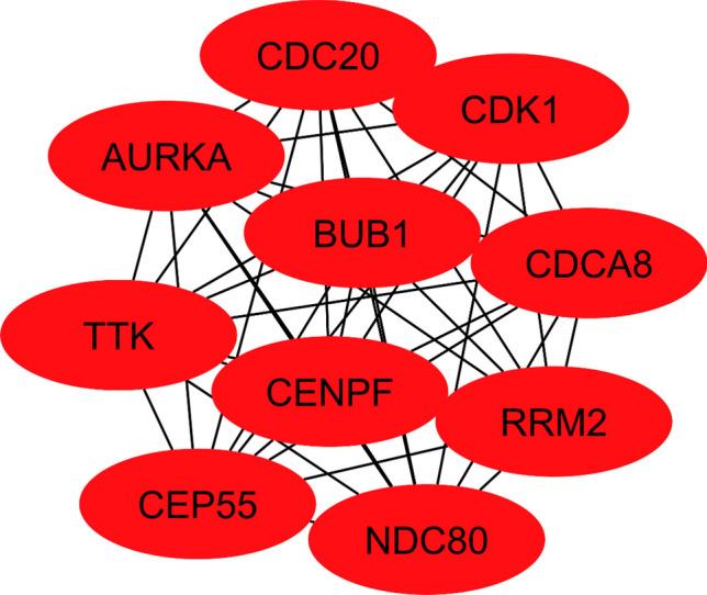 https://cdn.ncbi.nlm.nih.gov/pmc/blobs/7ec3/11379961/f2166c53ebda/41598_2024_69721_Fig9_HTML.jpg