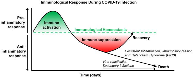 https://cdn.ncbi.nlm.nih.gov/pmc/blobs/7ec7/7896544/d8a00027e924/12016_2021_8848_Fig2_HTML.jpg