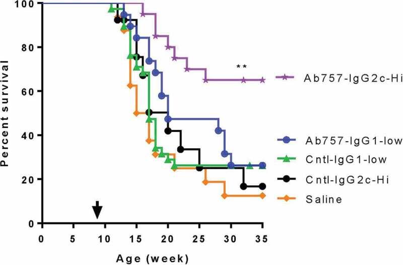 https://cdn.ncbi.nlm.nih.gov/pmc/blobs/7ec9/7668530/0c5585cc605d/KMAB_A_1836714_F0007_OC.jpg