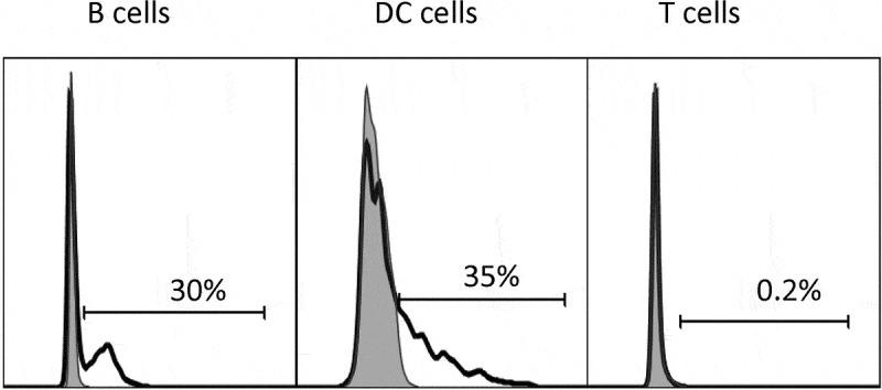 https://cdn.ncbi.nlm.nih.gov/pmc/blobs/7ec9/7668530/3d7e86b5103e/KMAB_A_1836714_F0004_B.jpg