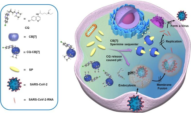 https://cdn.ncbi.nlm.nih.gov/pmc/blobs/7ecb/8019245/0a20998300d0/gr1_lrg.jpg