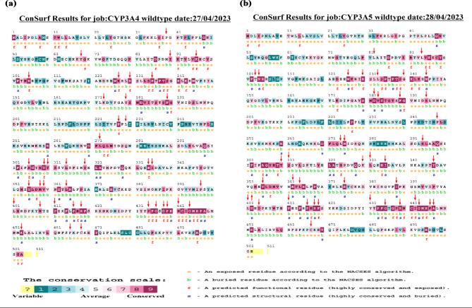 https://cdn.ncbi.nlm.nih.gov/pmc/blobs/7ecc/11739396/c8517c8d04cd/41598_2025_85595_Fig2_HTML.jpg