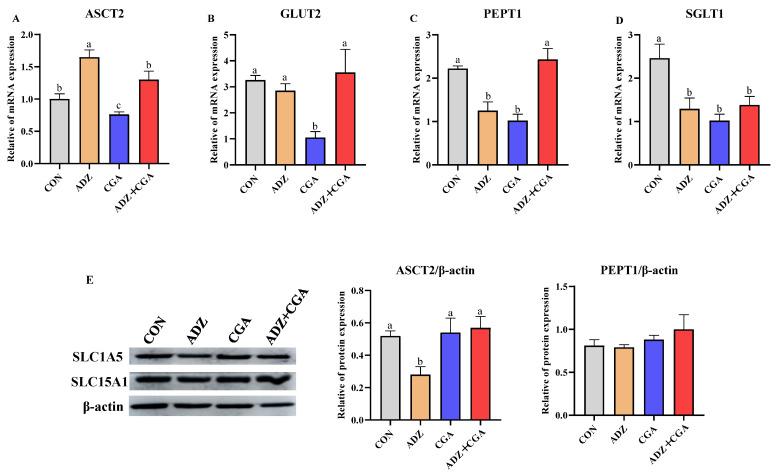 https://cdn.ncbi.nlm.nih.gov/pmc/blobs/7ecc/9612255/4e0db4b1353f/toxins-14-00670-g006.jpg