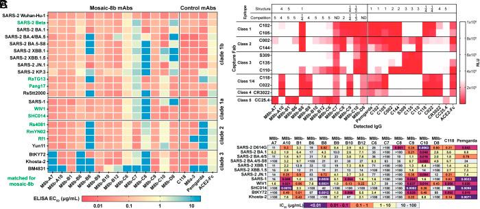 https://cdn.ncbi.nlm.nih.gov/pmc/blobs/7ecf/12130868/9eda72ba843b/pnas.2501637122fig02.jpg