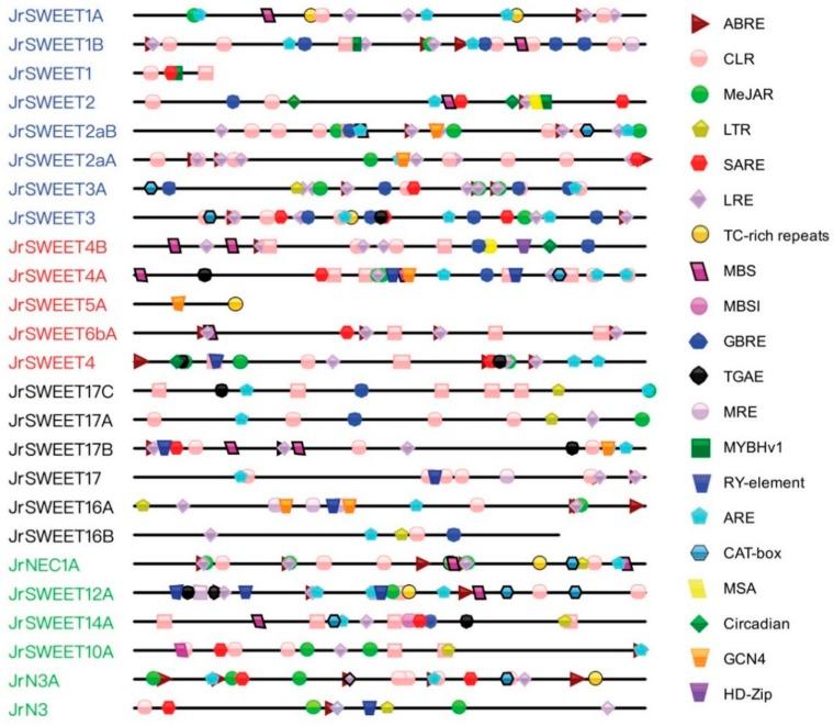 https://cdn.ncbi.nlm.nih.gov/pmc/blobs/7ecf/7072939/cfff9a5c2004/ijms-21-01251-g010.jpg