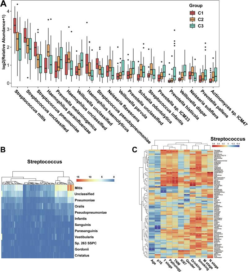 https://cdn.ncbi.nlm.nih.gov/pmc/blobs/7ed0/12059021/7087de110bef/41522_2025_708_Fig4_HTML.jpg