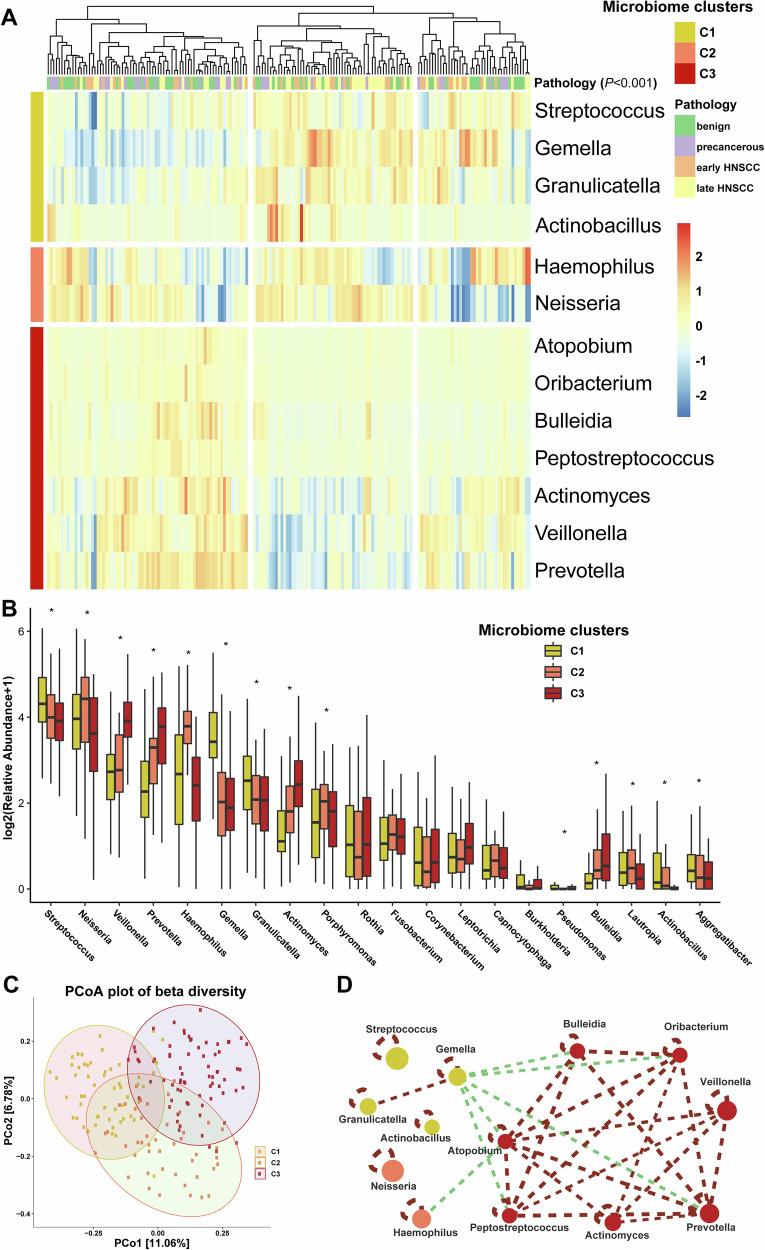 https://cdn.ncbi.nlm.nih.gov/pmc/blobs/7ed0/12059021/dae81887c885/41522_2025_708_Fig2_HTML.jpg