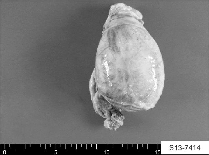https://cdn.ncbi.nlm.nih.gov/pmc/blobs/7ed3/4550594/2ca7e60475f8/wjmh-33-117-g002.jpg