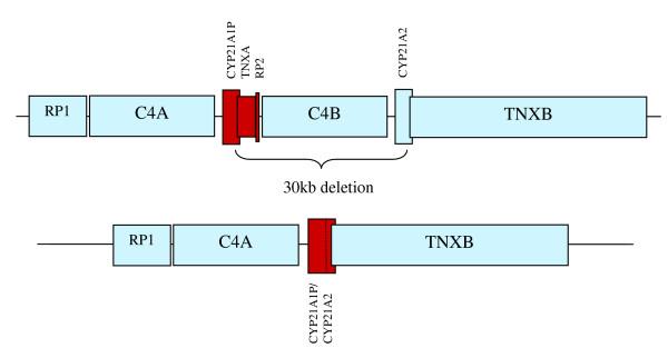 https://cdn.ncbi.nlm.nih.gov/pmc/blobs/7ed4/2265260/cb617ee2756d/1471-2350-9-1-2.jpg