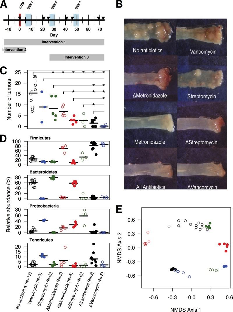 https://cdn.ncbi.nlm.nih.gov/pmc/blobs/7ed4/4863627/3031c455b6e5/sph0011600090001.jpg