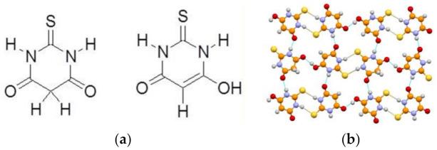 https://cdn.ncbi.nlm.nih.gov/pmc/blobs/7ed5/9408954/2602dc927fc7/ijms-23-09013-g010.jpg