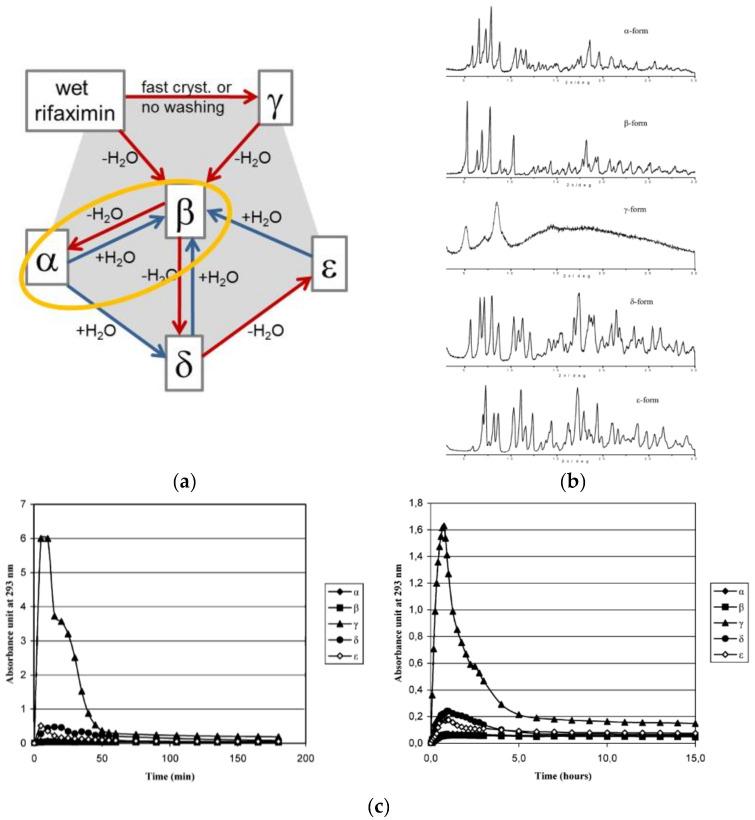 https://cdn.ncbi.nlm.nih.gov/pmc/blobs/7ed5/9408954/e29e71a64491/ijms-23-09013-g017.jpg