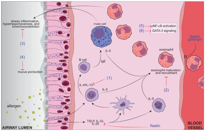 https://cdn.ncbi.nlm.nih.gov/pmc/blobs/7ed6/9865502/0cf01868859a/pharmaceutics-15-00001-g004.jpg