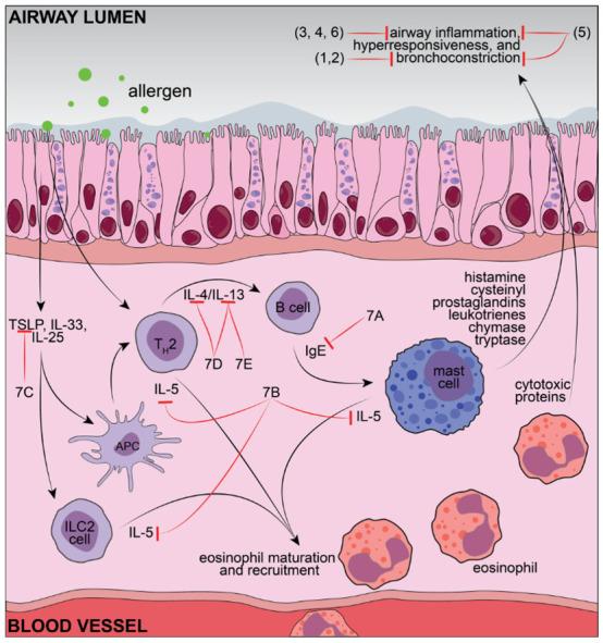 https://cdn.ncbi.nlm.nih.gov/pmc/blobs/7ed6/9865502/628aef10d1bf/pharmaceutics-15-00001-g002.jpg