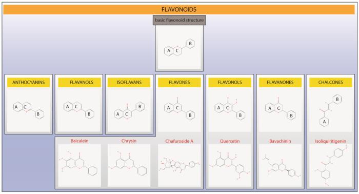 https://cdn.ncbi.nlm.nih.gov/pmc/blobs/7ed6/9865502/ee4fcf321313/pharmaceutics-15-00001-g003.jpg