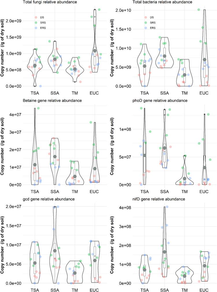 https://cdn.ncbi.nlm.nih.gov/pmc/blobs/7ed7/12137386/4983b829460c/248_2025_2561_Fig2_HTML.jpg