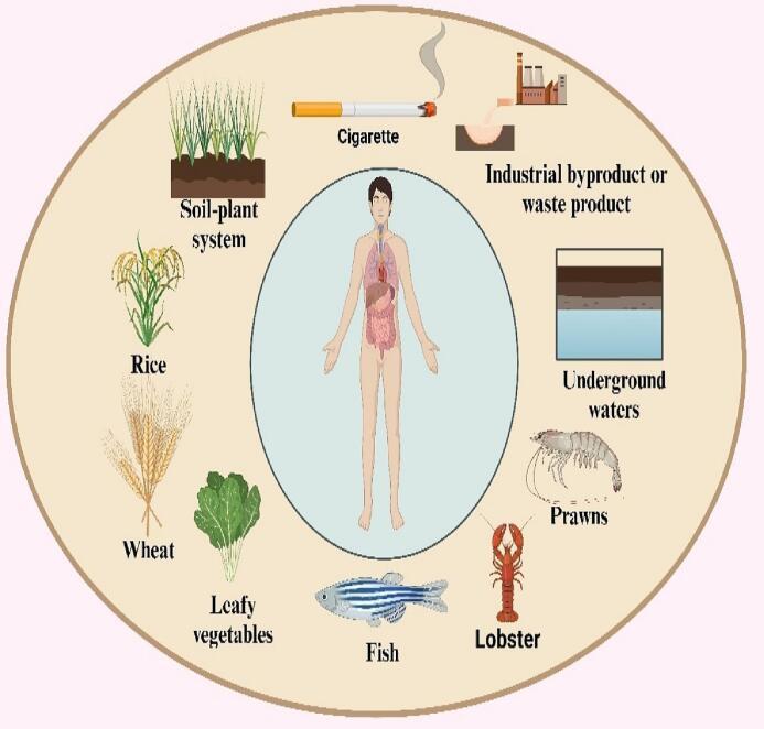 https://cdn.ncbi.nlm.nih.gov/pmc/blobs/7ed8/11068539/321b42922210/gr1.jpg