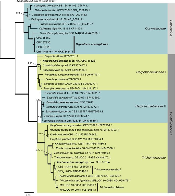 https://cdn.ncbi.nlm.nih.gov/pmc/blobs/7ed9/7452156/55a1a4fd4d81/fuse-2020-6-9-g004.jpg