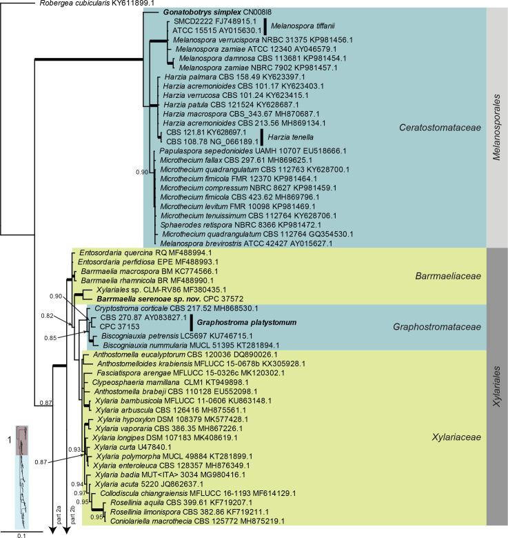 https://cdn.ncbi.nlm.nih.gov/pmc/blobs/7ed9/7452156/f6bd0af020f1/fuse-2020-6-9-g006a.jpg