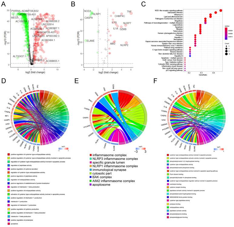 https://cdn.ncbi.nlm.nih.gov/pmc/blobs/7eda/10583579/1d6c3b41b685/jcav14p3151g002.jpg