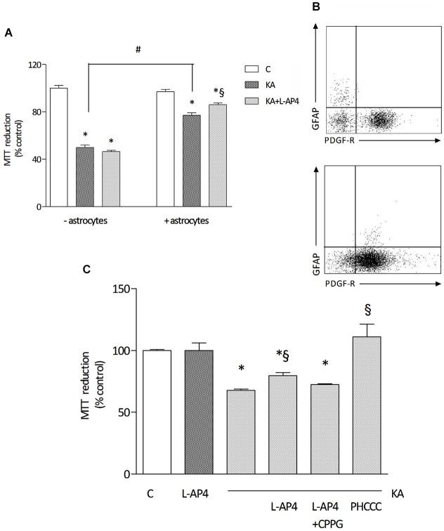 https://cdn.ncbi.nlm.nih.gov/pmc/blobs/7ede/4294134/bdb933575bc0/fncel-08-00462-g0002.jpg
