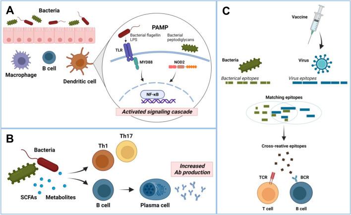https://cdn.ncbi.nlm.nih.gov/pmc/blobs/7ee3/10098251/1cb156d87e92/12275_2023_44_Fig1_HTML.jpg