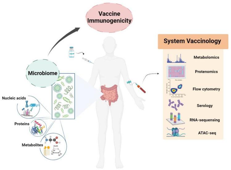 https://cdn.ncbi.nlm.nih.gov/pmc/blobs/7ee3/10098251/74a07561f10b/12275_2023_44_Fig2_HTML.jpg