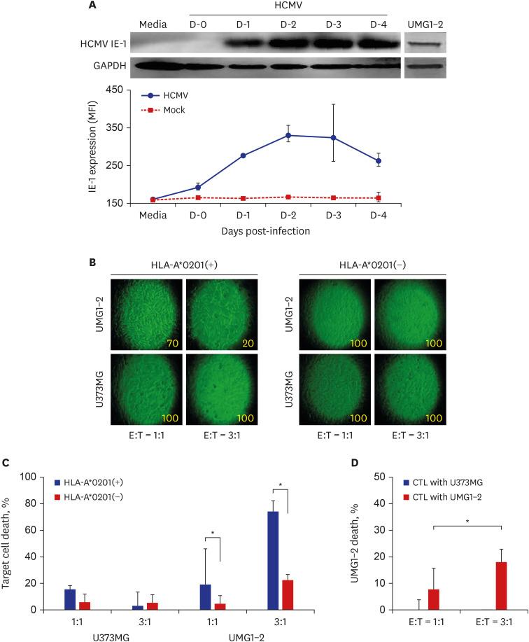 https://cdn.ncbi.nlm.nih.gov/pmc/blobs/7ee4/7358065/8f34ab80b561/jkms-35-e218-g001.jpg